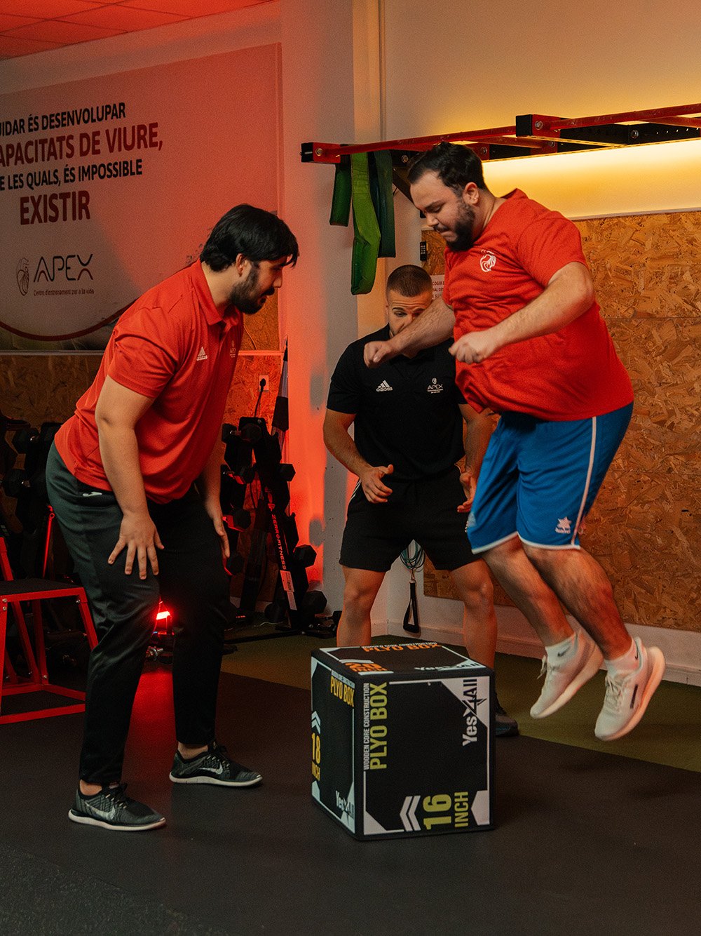 entrenamiento personalizado Entrenador personal supervisando técnica de salto al cajón de un joven en el gimnasio.